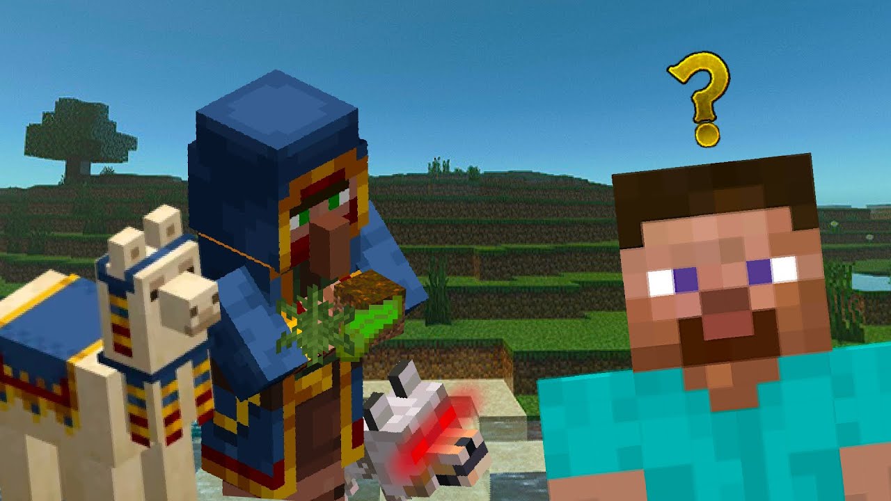 Things You Did in Minecraft...