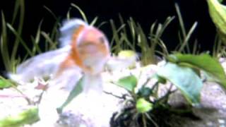 SANY1462.AVI