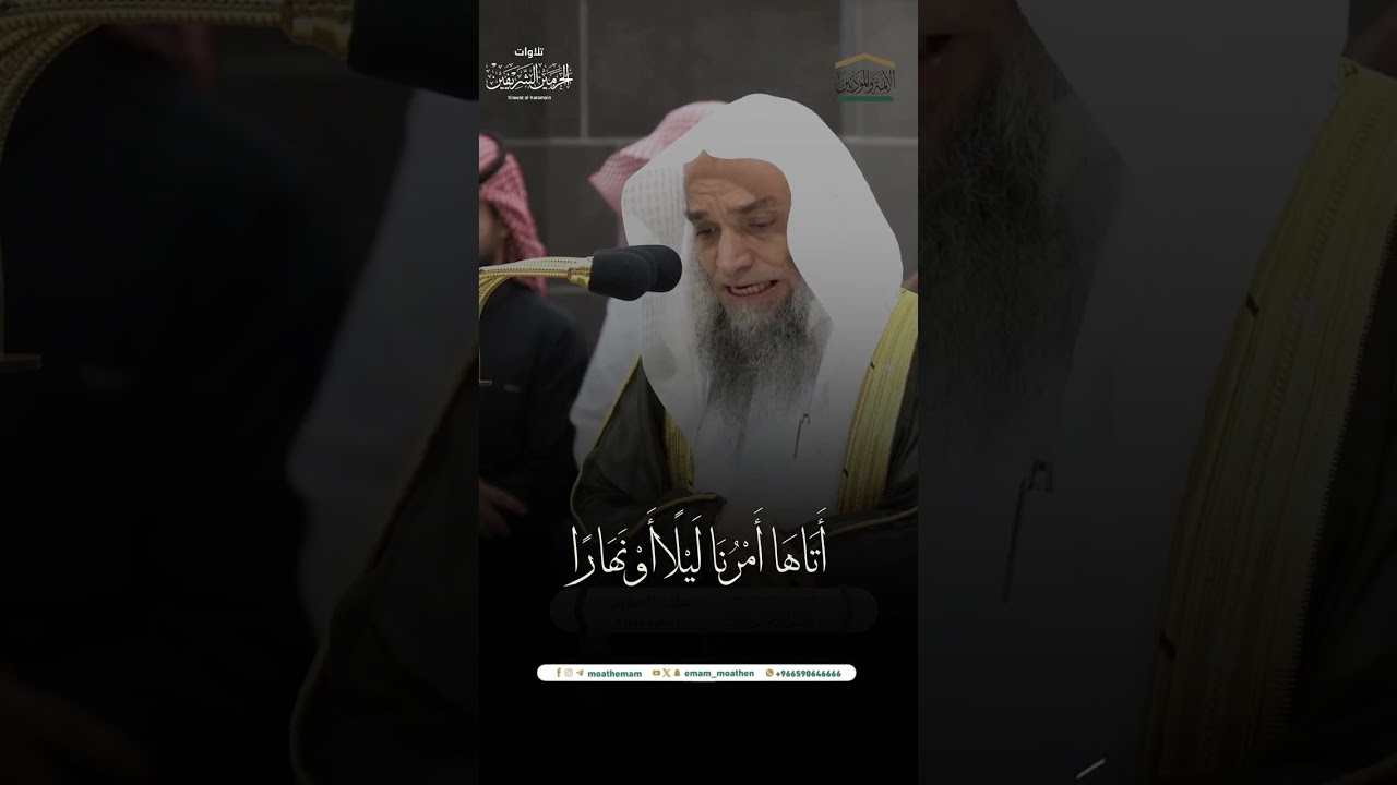 مقتطف من تلاوة فضيلة الشيخ أ.د. #فيصل_غزاوي من صلاة المغرب 11 صفر 1446هـ.