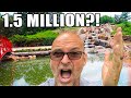 Massive POND RENOVATION Reveal: 1.5 MILLION Pounds of Stone Used – Part 4