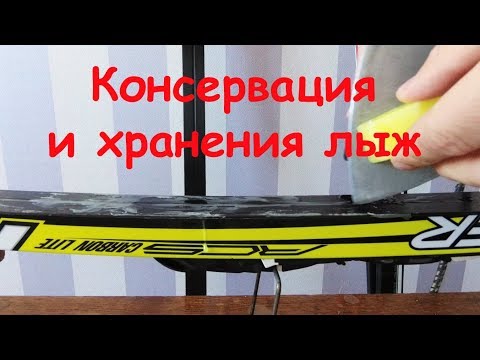 Видео: Как вы храните толстоголовых?