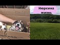 Делу время, потехе час // Нюркина жизнь