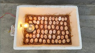 How to make incubator at home \/\/ Homemade Incubator Hatching day 21
