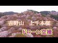 吉野山の千本桜空撮 奈良①