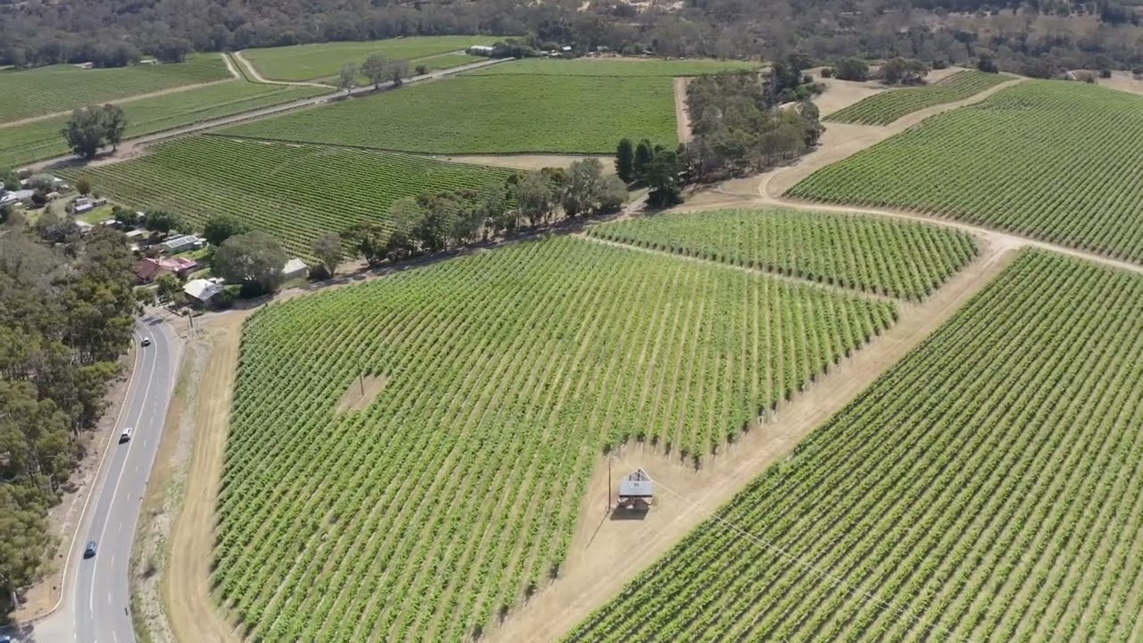 Jacob's Creek, Barossa Valley, South Australia - From Above (Drone Montage)