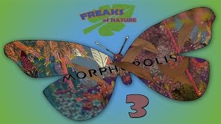 elevated Artistic Revelation! - MORPHOPOLIS - part 3 [Freaks of Nature]