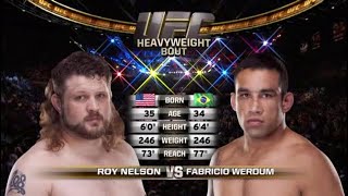Roy Nelson vs Fabricio Werdum