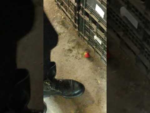 Boots vs a strawberry! (at the local bazaar) #asmrcrushing #crushfetish