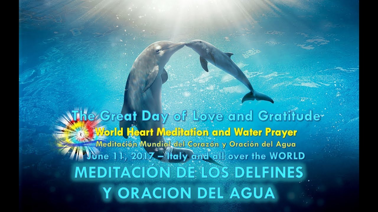 Cuanto Aguanta Un Delfin Bajo El Agua