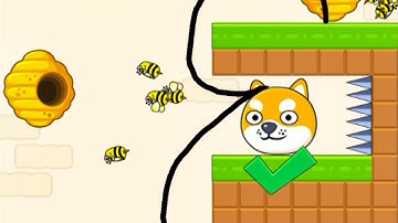 Save The Doge Speedrun Gameplay Level 61