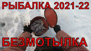 рыбалка зимняя 2021-22 ловля на мухомормыш! безмотылка рулит в глухозимье!