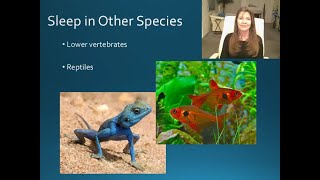 OLD PSY 309 Lecture 1.7