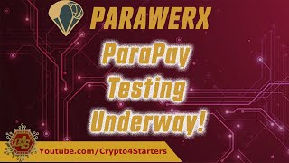 Parapay Internal Testing What Is Real World Utility?