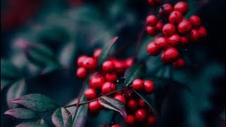 Mudhan Mudhalil Parthen - Aahaa 1997