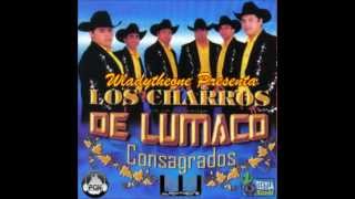 Video voorbeeld van "Corazon De Hierro Los Charros De Lumaco Consagrados"