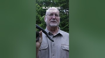 Plastic Bird netting is lethal for many species! See full video to learn more and hear whole story!