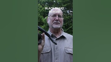 Plastic Bird netting is lethal for many species! See full video to learn more and hear whole story!