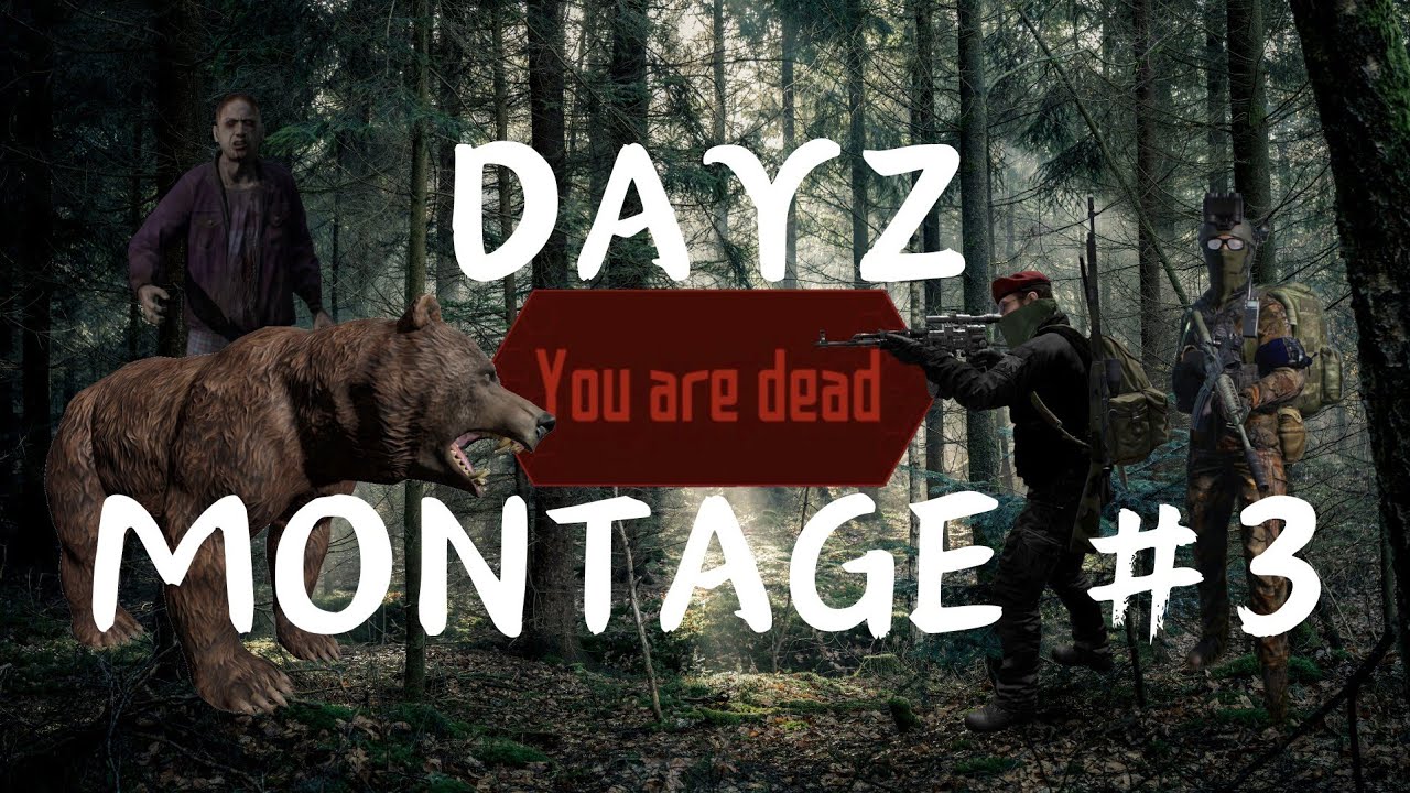 DayZ - Random Kills / Funny Moments - Montage #3 - YouTube