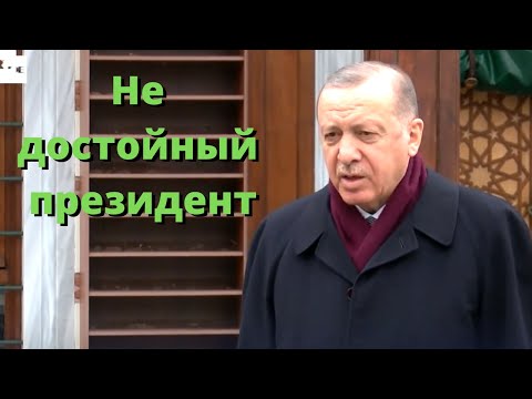 Реакция Эрдогана на оскорбление Байдена, в адрес Путина