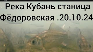 Рыбалка на Кубани станица Фёдоровская. Осторожно работает рыбоохрана. 20.10.24.