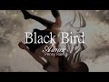 【HD】Penny Rain - Aimer - Black Bird【中日字幕】