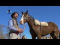 Bien Argentino - Chueco Ferreyra trabajando con la yegua