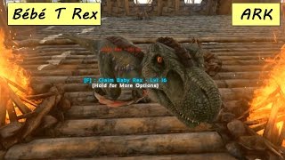 ARK SURVIVAL EVOLVED Bebe T Rex HD 1080p FR