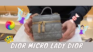Micro Lady Dior Vanity Case - SLG Organizer