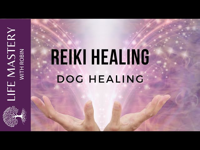Reiki Healing | Healing Dogs with Sound Music class=