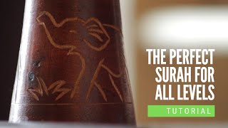 The Perfect Surah for Beginner and Advanced Students | Surah Feel