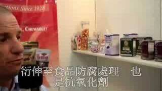 2008 TIFS Primrose Candy Company Interview