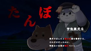 【たんぼ】わんわんと夜のおさんぽ！