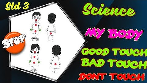 Std 3/ Science/ Term 1/ Unit 1/ My body/ Good touch, Bad touch and Don