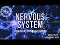 Nervous system regeneration and balancing  energetically programmed audio  maitreya reiki