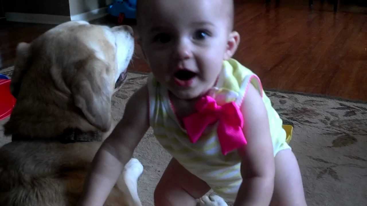 A baby's best friend YouTube