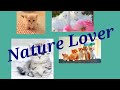Sd stories  nature lover