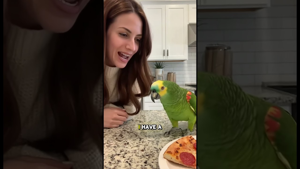 i love you and pizza 