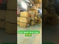 chin tapak dum dum #trending #shortvideo #love #viral #shorts #tour #railway #indiantrains #action