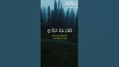 سورة الواقعة| القارئ سعد الغامدي| تلاوة هادئة #اكسبلور