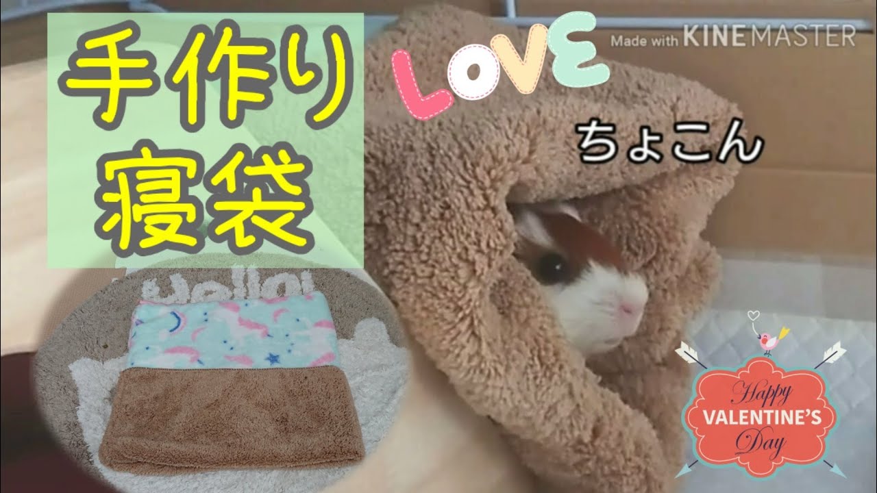 モルモットの赤ちゃんに新しい寝袋を作ってみた Youtube