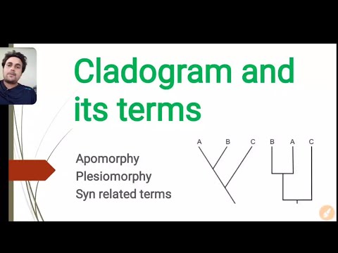cladogram and its realted terms - apomorphy ,plesiomorphy,autapomorphy ,homoplasy terms ( हिंदी में)