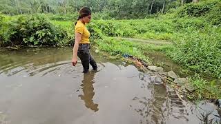 Daily life in poor countryside, going to the stream to catch big carp to sell