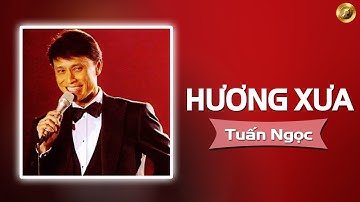 HƯƠNG XƯA - TUẤN NGỌC | NHẠC VÀNG TUẤN NGỌC TUYỂN CHỌN HAY NHẤT MỌI THỜI ĐẠI