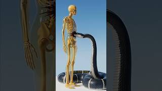 🐍☠️ La SERPIENTE Más VENENOSA del Mundo 😨🌍