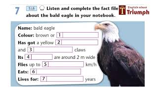 Excel 5 p.87, ex. 7 + Ответы