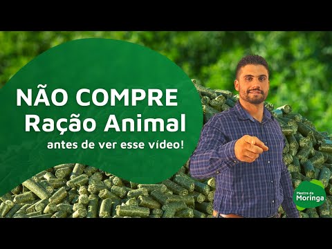 Vídeo: KKM - o que é isso? KKM manutenção, instruções