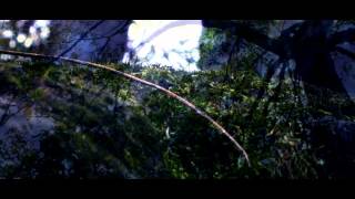 Fuji Hs20 - Short Film - Forgotten Future