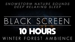 💤Sleep Easily with BLACK SCREEN Winter Forest Cabin Snowstorm Nature Sounds❄️Sleep Aid | 10 Hours 4K