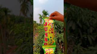 NANDU JI JUMBO PAPAD KURKURE GIFTS 💥😱 #shorts #youtubeshorts #trending