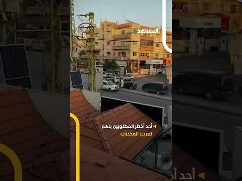 الجيش اللبناني يوقف نوح زعيتر في عملية خاطفة